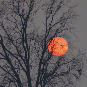 裸体美女🔞🔞🔞免费动漫网站
